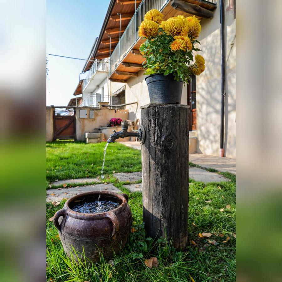 巴尔杰Agriturismo Magnarosa别墅 外观 照片