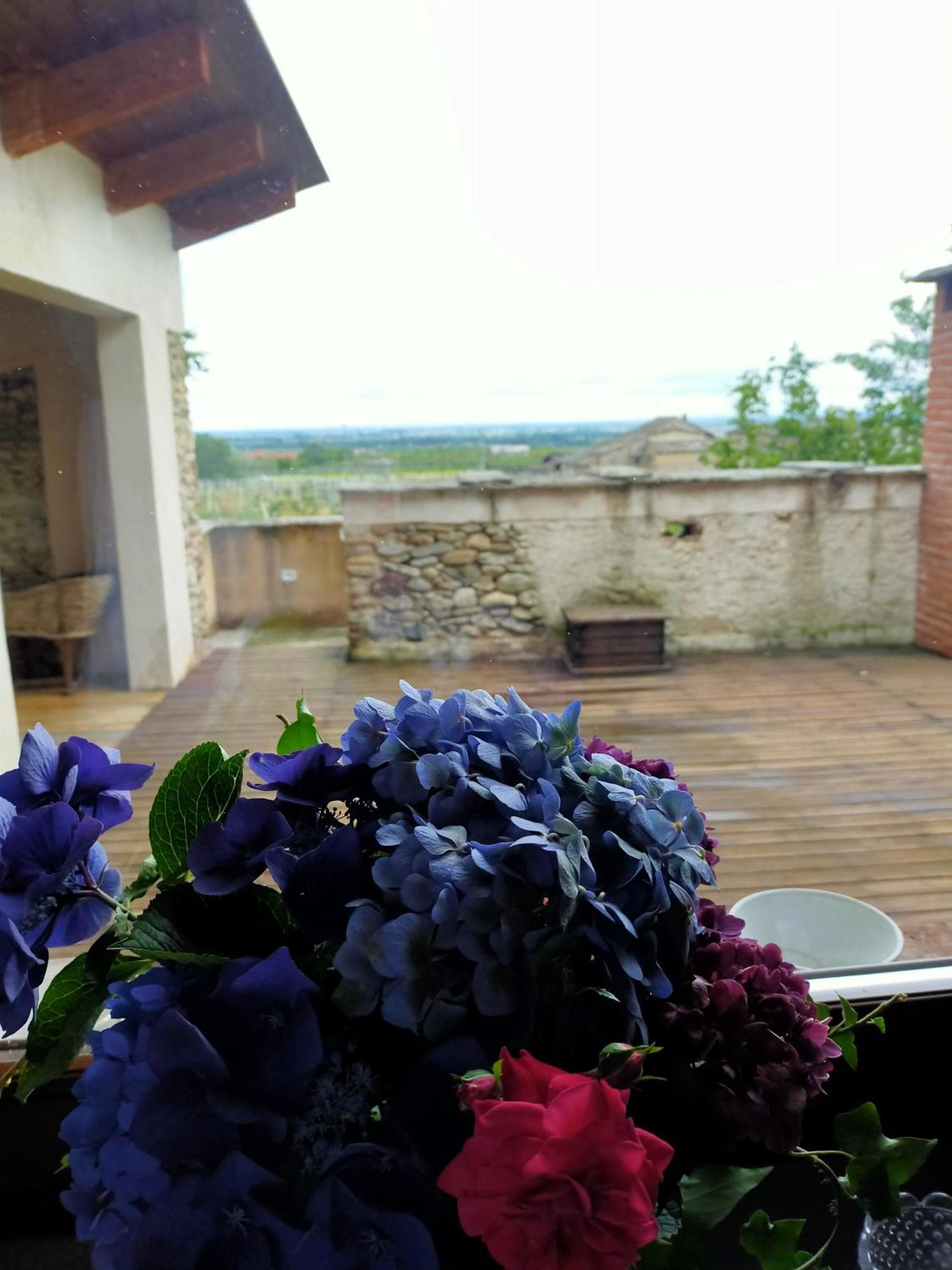 巴尔杰Agriturismo Magnarosa别墅 客房 照片